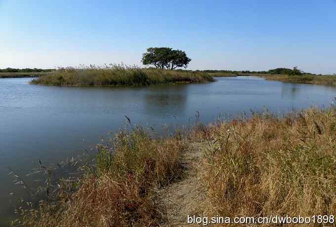 菩提岛：人文景观和观鸟基地