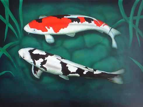 龙：传说的兽原型探秘（鲤鱼）