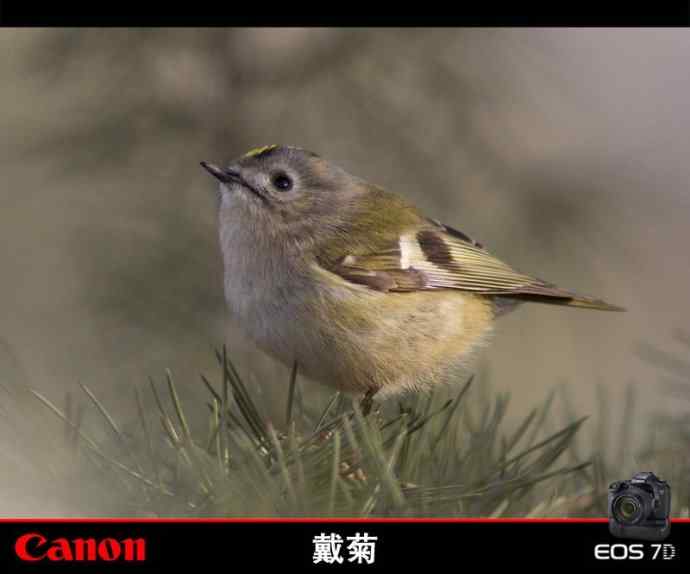 点击图片或使用键盘← →翻页 点击图片或使用键盘← →翻页