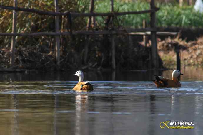 再拍鈥湷嗦檠尖