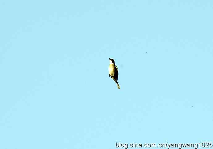 空中街舞（趣闻）