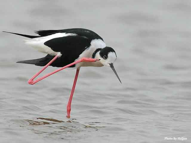 我憧憬那湾碧水 wbr. wbr我流连那片土地