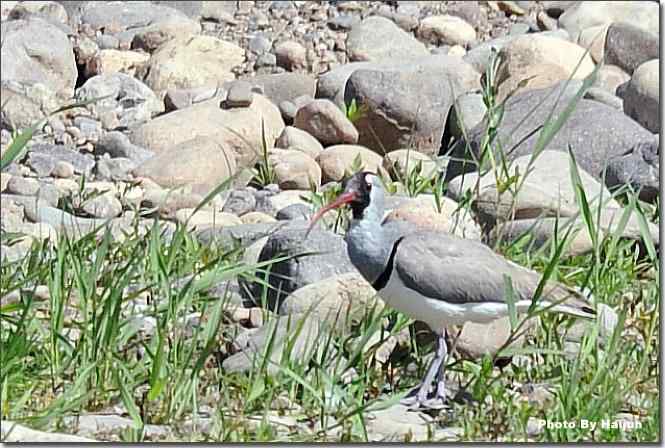  点击图片或使用键盘← →翻页