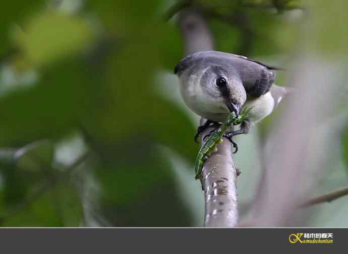 拍鈥溁疑浇纺疋澕侨ぁ菊掌