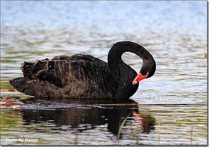  点击图片或使用键盘← →翻页