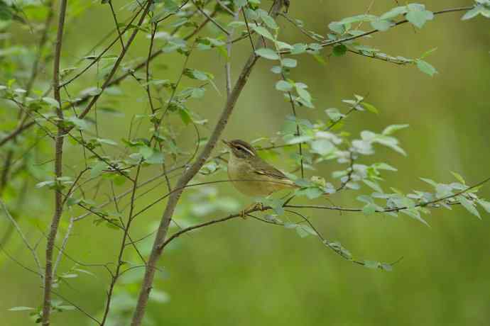 五一就像度蜜月