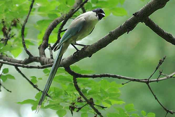  点击图片或使用键盘← →翻页