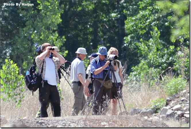 邂逅瑞典皇家鸟调专属委员会观鸟小组