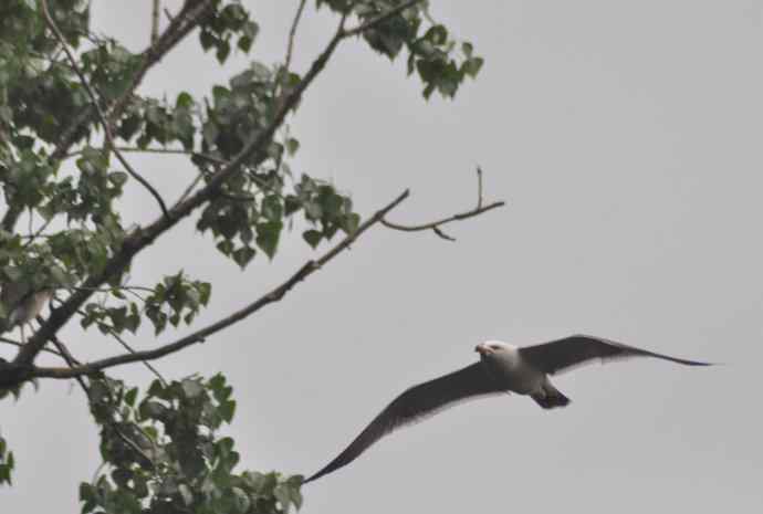 20100505当日总结