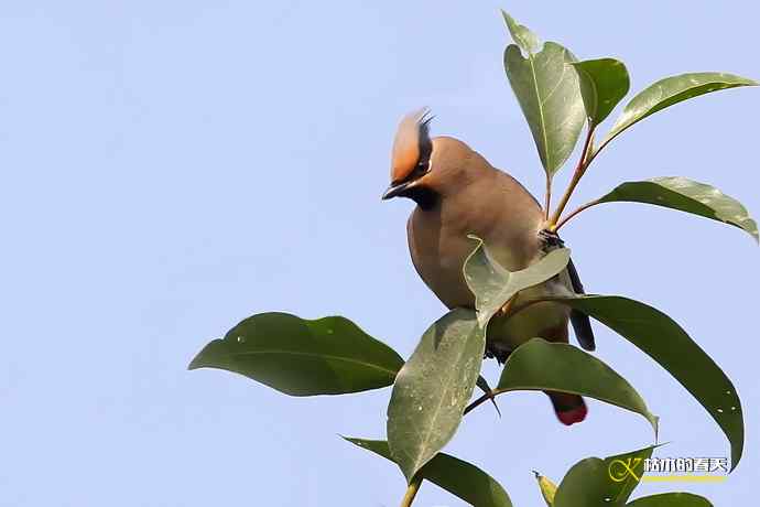 记录鈥溞√侥疋