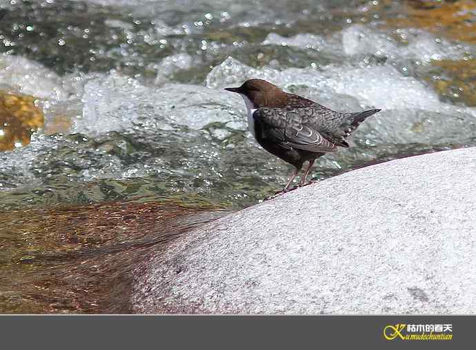 孟屯河拍鈥満游阝潯臼蹬摹