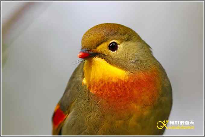 神马都是浮云，健康、快乐才最给力鈥斺斘业2010