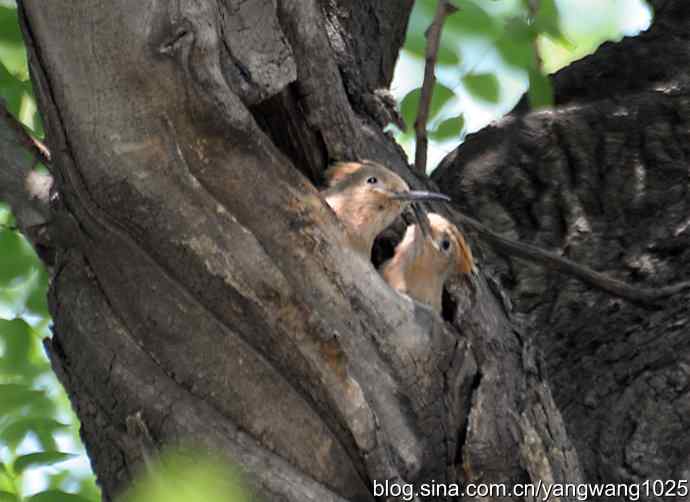 期盼（20分钟纪实片）