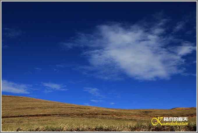 云南大山包鈥敽诰焙椎奶焯谩菊掌