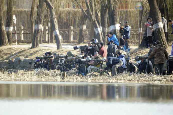 阳春三月闹爱情 阳春三月闹爱情