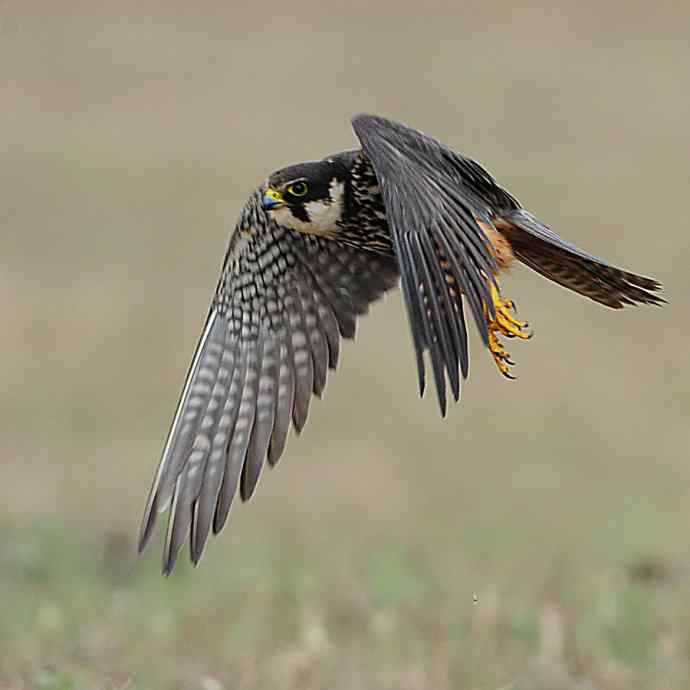 狂野周末鈥斺斆颓萜ㄅ级舭妫