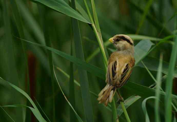 震旦鈥斺斁灾泄