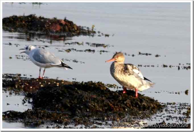 20111023-467_thumb10