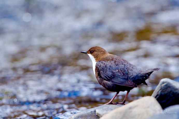 轻寒薄暖，再上川西