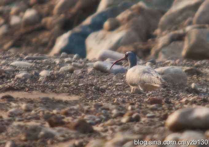 白河峡谷一日游（组图，11张图片）