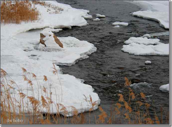 白河峡谷 鸟的乐园