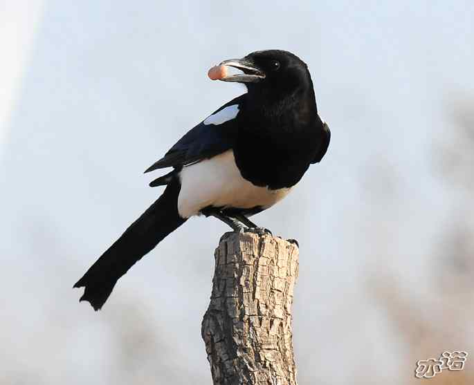 官厅水库&nbsp;wbr路&nbsp;wbr鈥湹刂麾澫踩