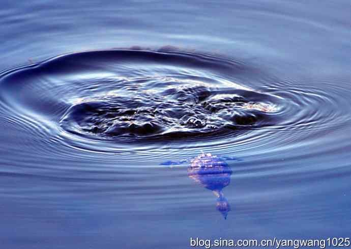 颐和园的收获（小PT）