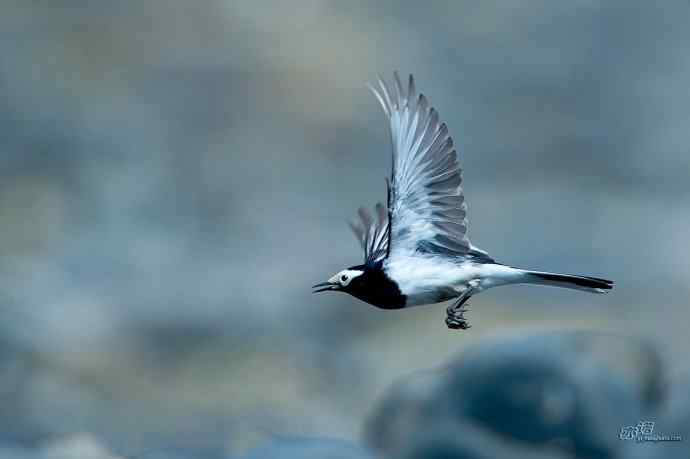 轻寒薄暖，再上川西