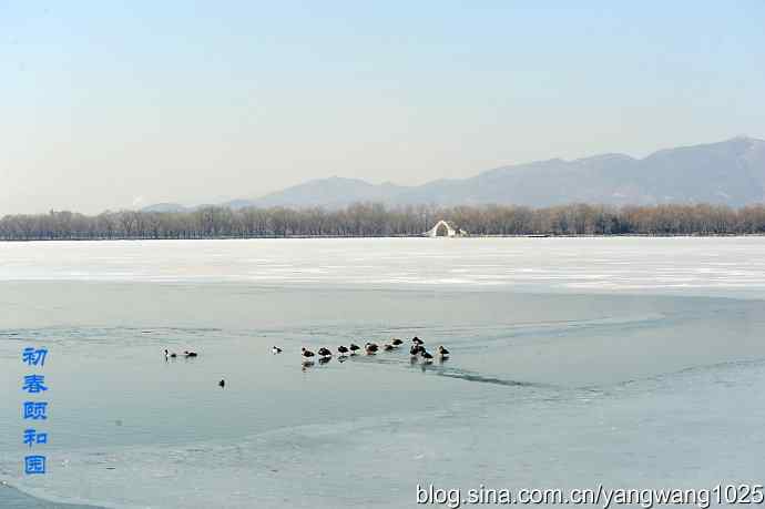 颐和园的收获（小PT）