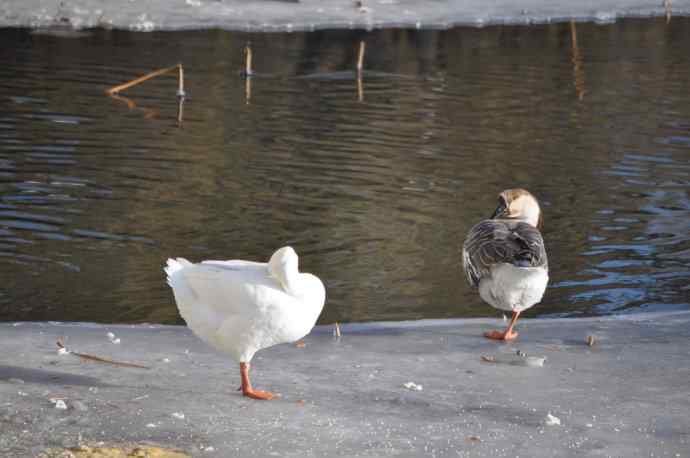 春天真的快来啦! 春天真的快来啦!