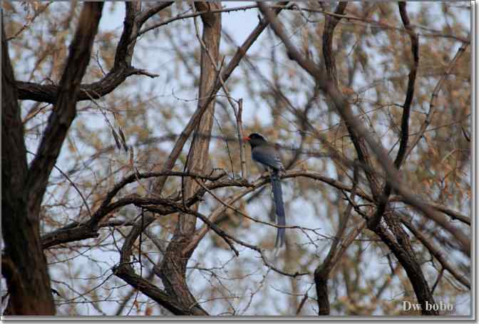 点击图片或使用键盘← →翻页