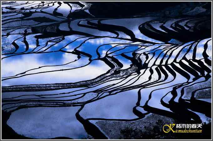 如梦的元阳梯田【照片】 如梦的元阳梯田【照片】