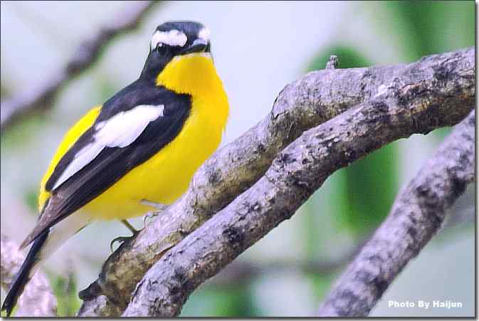  点击图片或使用键盘← →翻页