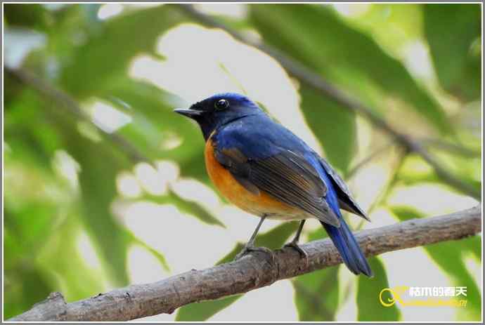 追拍鈥溩馗勾笙甥l鈥潯菊掌
