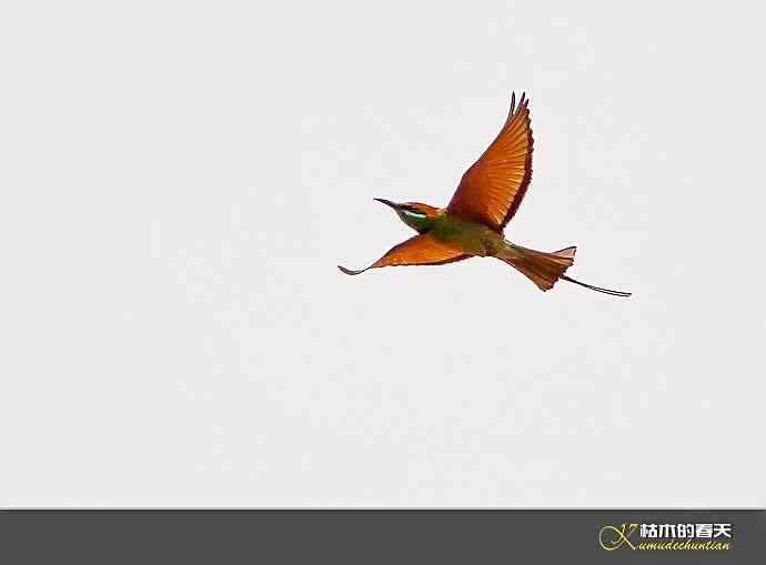 断线的鈥湻珞葩濃敿锹尖溌毯矸浠⑩