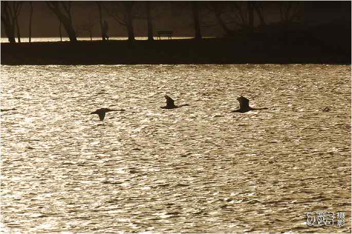  点击图片或使用键盘← →翻页