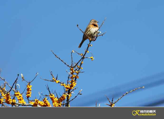 寻梦鈥溠趴讼拟潯臼蹬摹