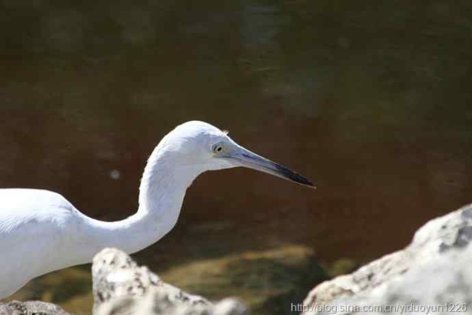 2012 Florida 197 2012 Florida 197