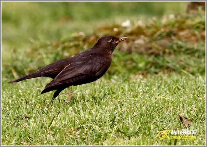 距离产生美【照片】 距离产生美【照片】