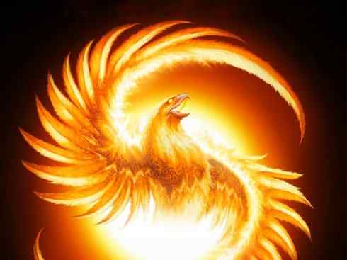 凤凰：传说的鸟