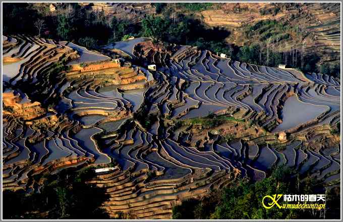 如梦的元阳梯田【照片】 如梦的元阳梯田【照片】