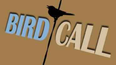 史上最全的鸟叫声