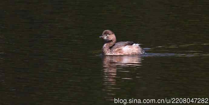 185.再见了小！