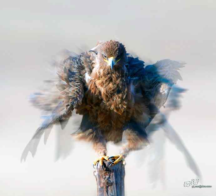 《草原雕style》创作思路和PS简介