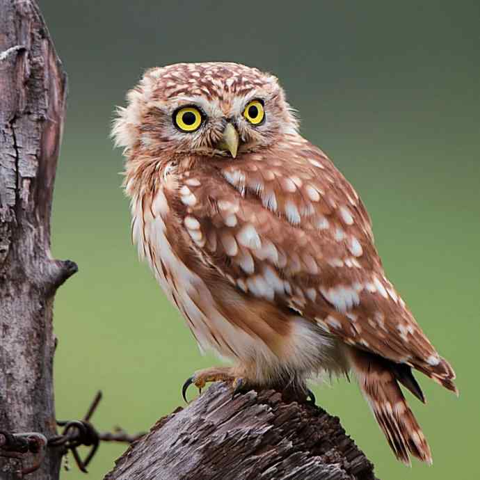 不期而遇鈥斺斪菸聘剐←^