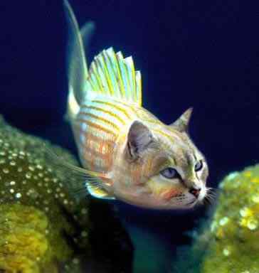 乱伦的后果 乱伦的后果