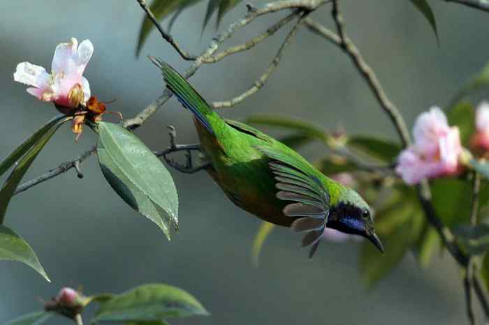 杭州老郑摄影续