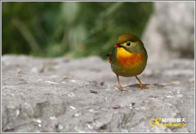 神马都是浮云，健康、快乐才最给力鈥斺斘业2010