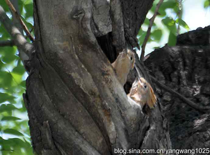 期盼（20分钟纪实片）