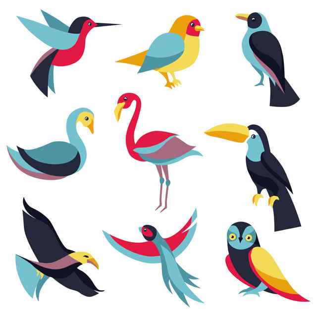 大话鸟类演化新系统树